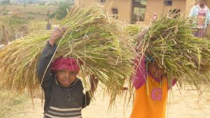 Conférence sur Madagascar avec Germin'Actions @ Salle Georges Brassens