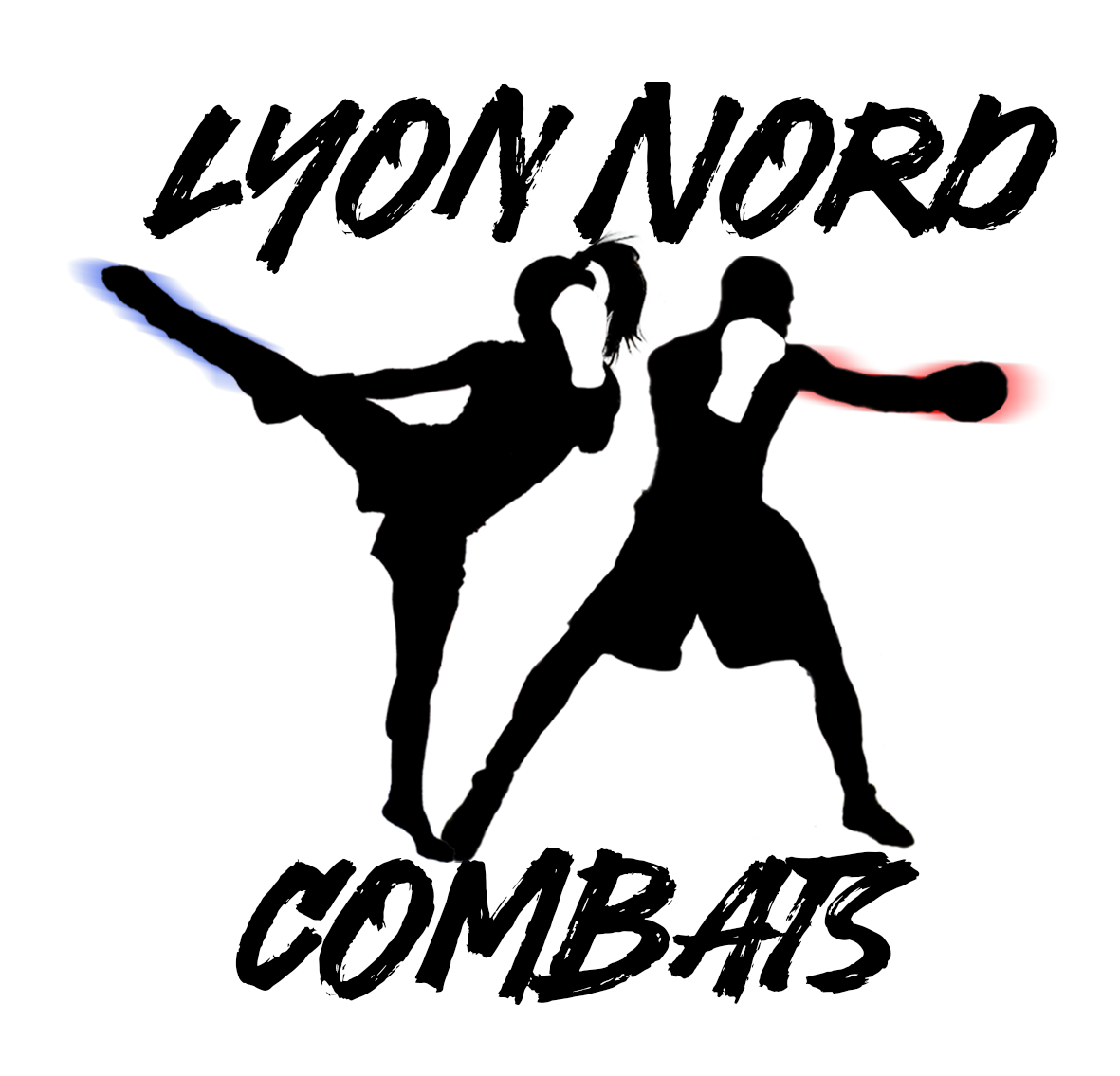 Lyon Nord Combats